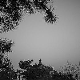 传闻：PS5 Slim将于11月10日发售